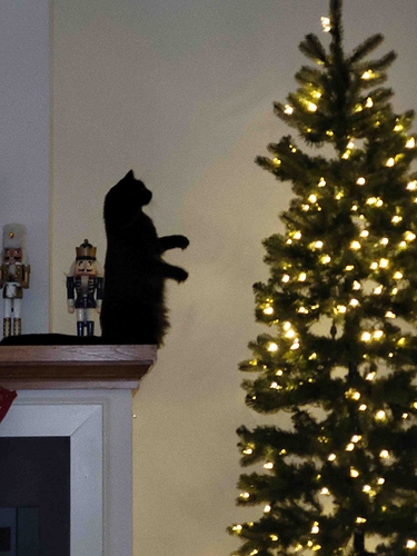 20221204_084724_compress93