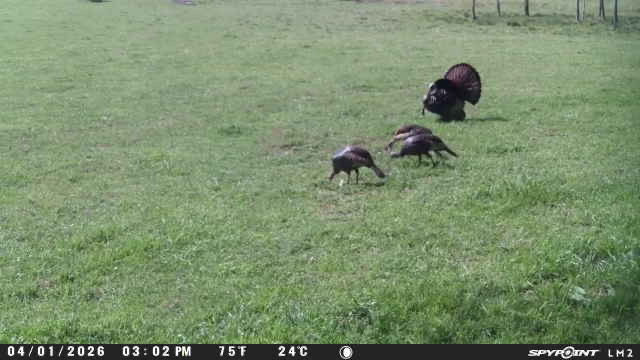 62567e5e-4ff4-4f6e-b92d-625eb50d539a