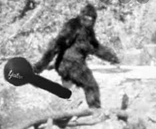 bigfoot