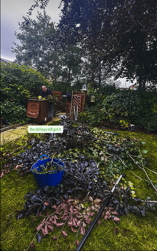 gardening
