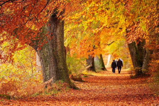 Autumn2